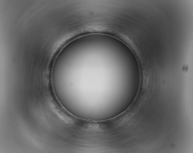 X0000111440439200907131309
