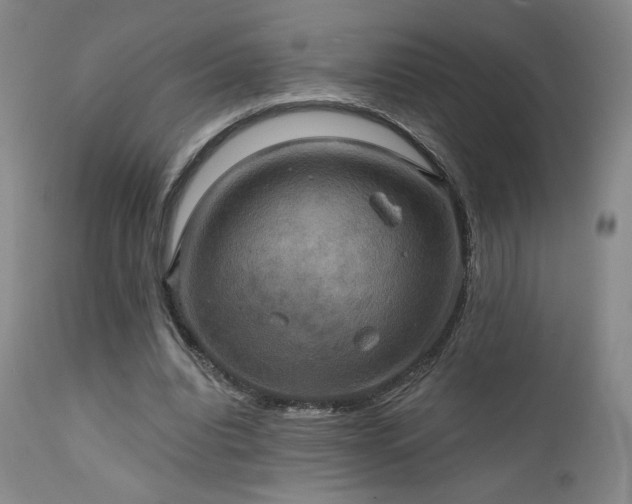 X0000111440440200907131309
