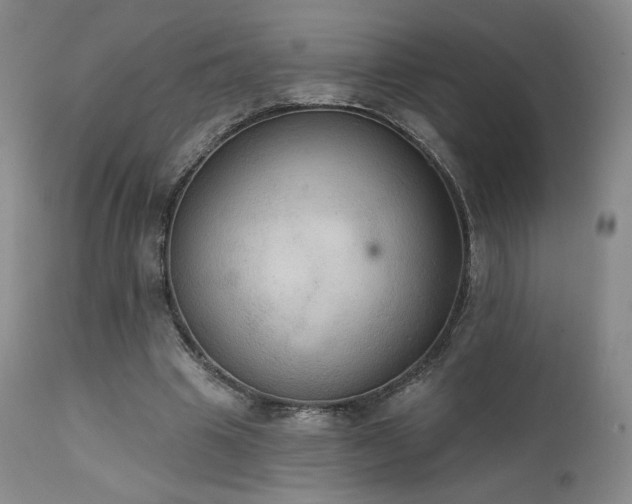 X0000111440441200907131309