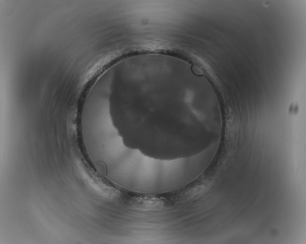 X0000111440443200907131309