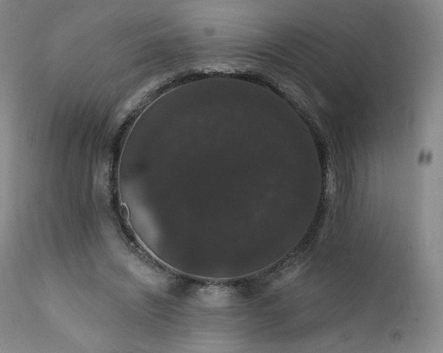 X0000111440444200907131309