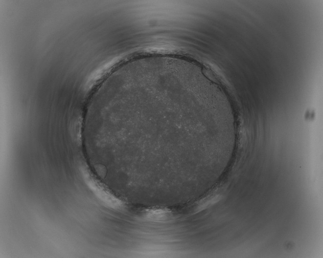 X0000111440446200907131309