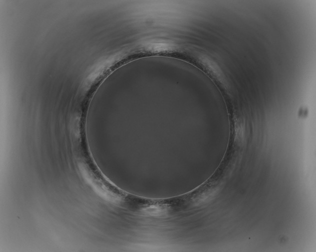 X0000111440447200907131309