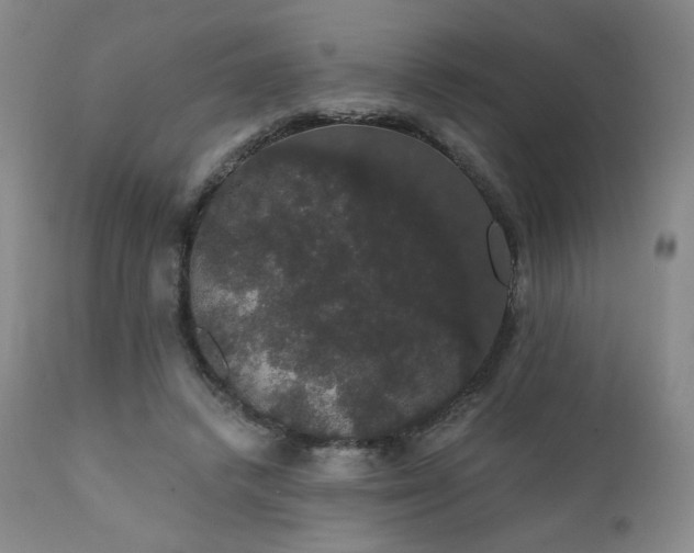 X0000111440448200907131309