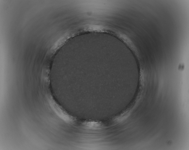 X0000111440449200907131309