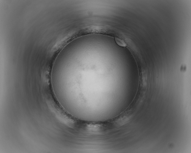 X0000111440450200907131309