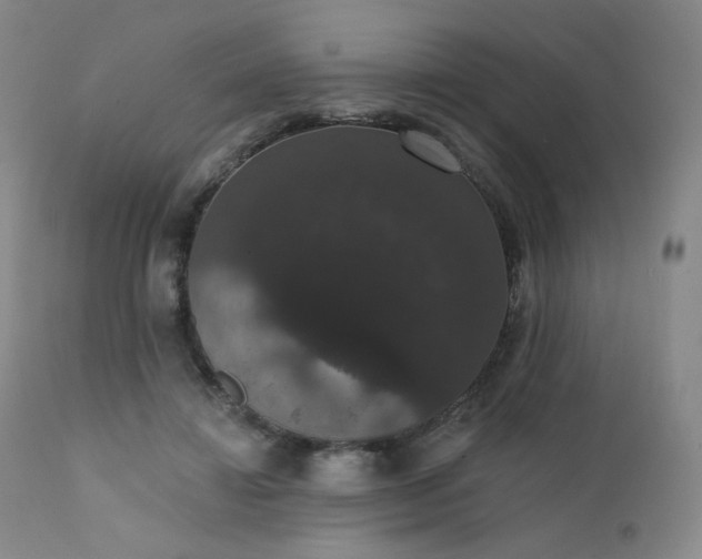 X0000111440452200907131309