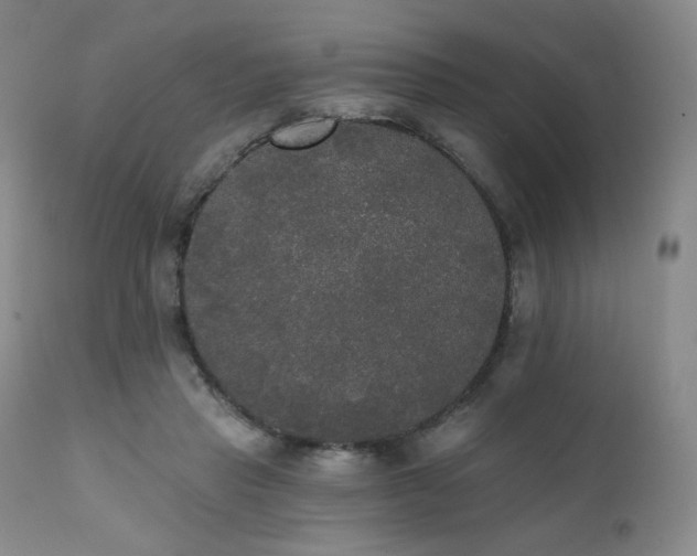 X0000111440453200907131309