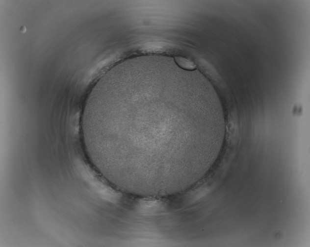X0000111440454200907131309