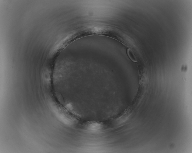 X0000111440456200907131309