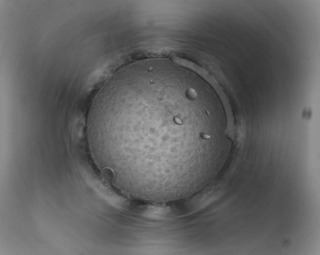 X0000111440458200907131309