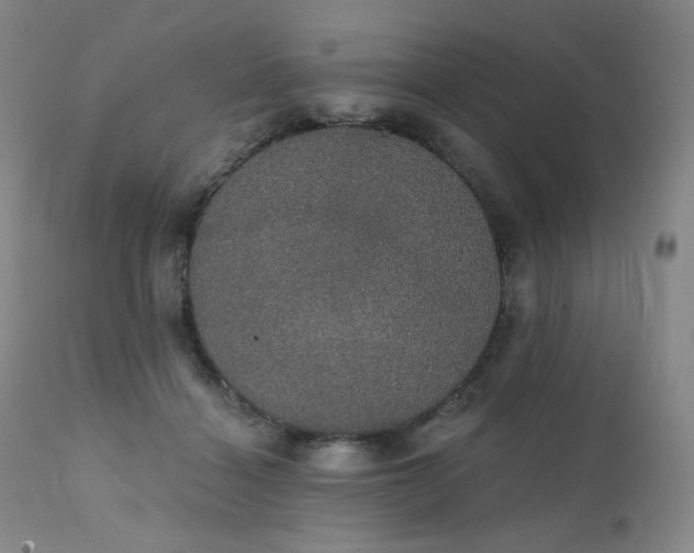 X0000111440460200907131309