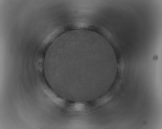 X0000111440462200907131310