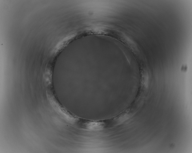 X0000111440465200907131310