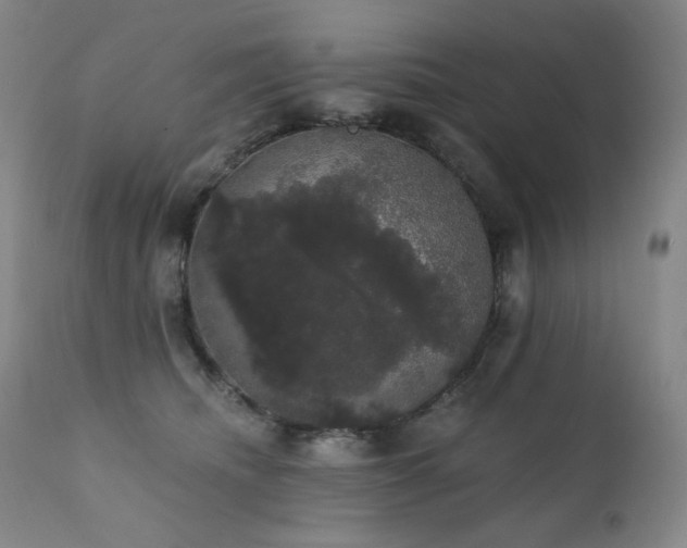 X0000111440468200907131310