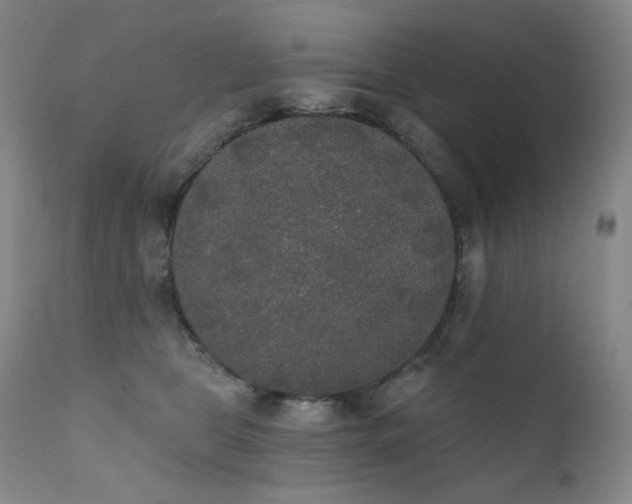 X0000111440469200907131310