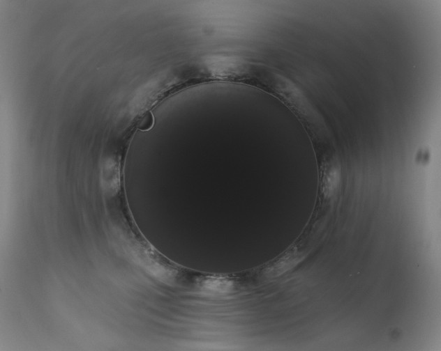 X0000111440471200907131310