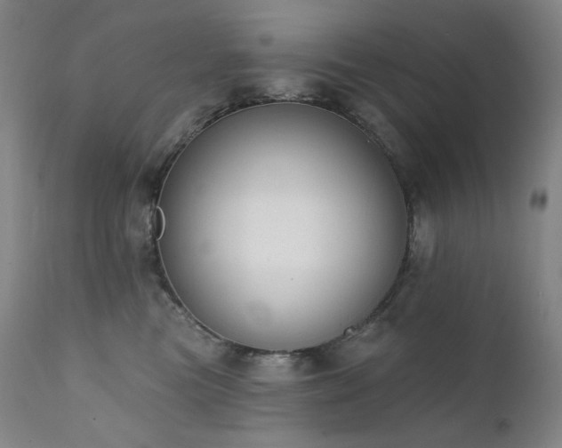 X0000111440473200907131310