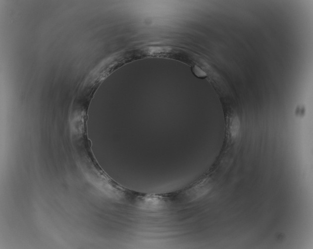 X0000111440475200907131310