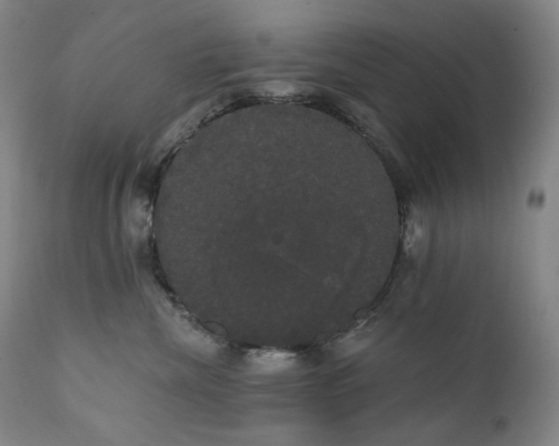 X0000111440476200907131310