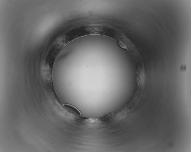 X0000111440477200907131310