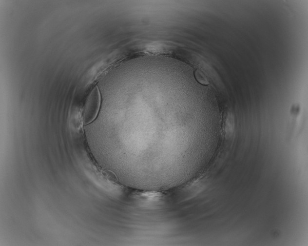 X0000111440478200907131310