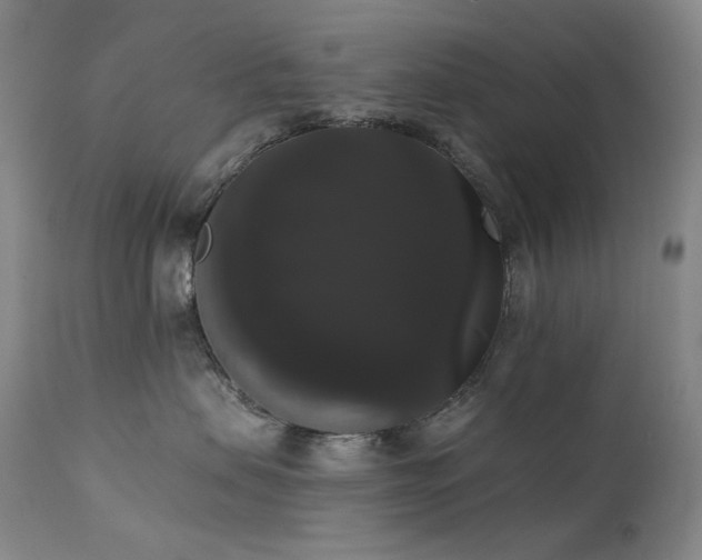 X0000111440479200907131310