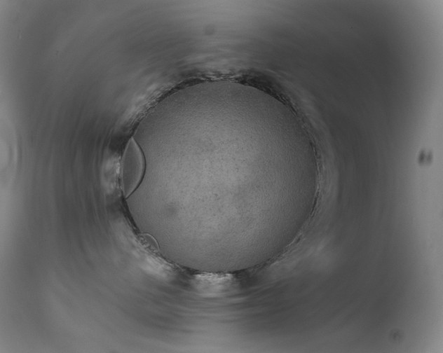 X0000111440480200907131310