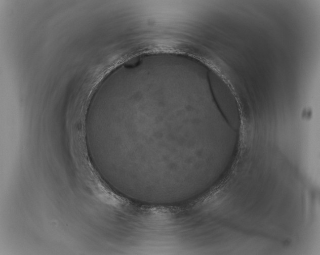 X0000111440481200907131309