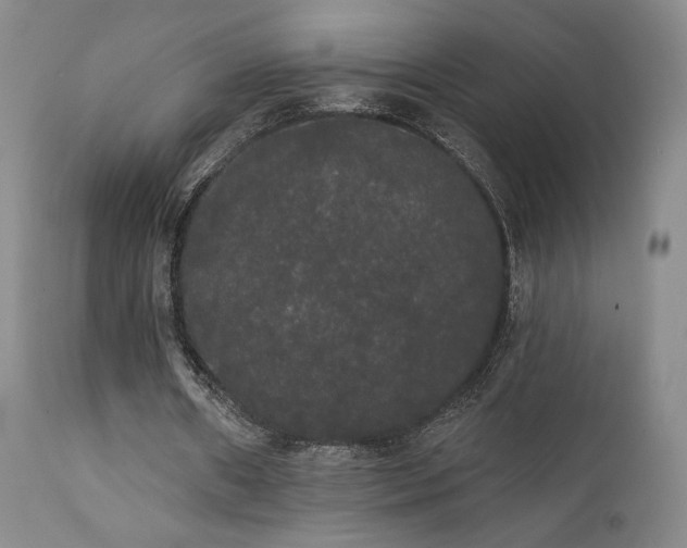 X0000111440482200907131309