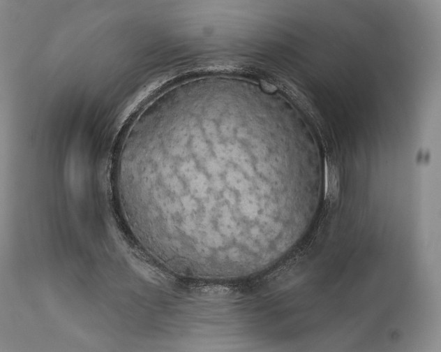 X0000111440483200907131309