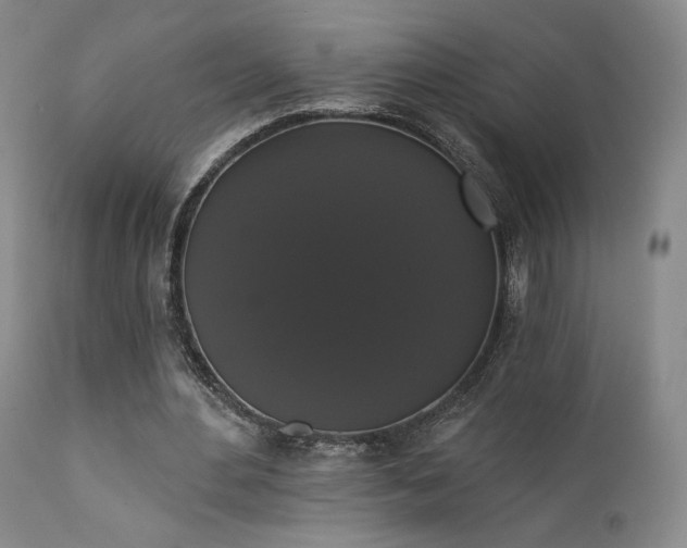X0000111440484200907131309