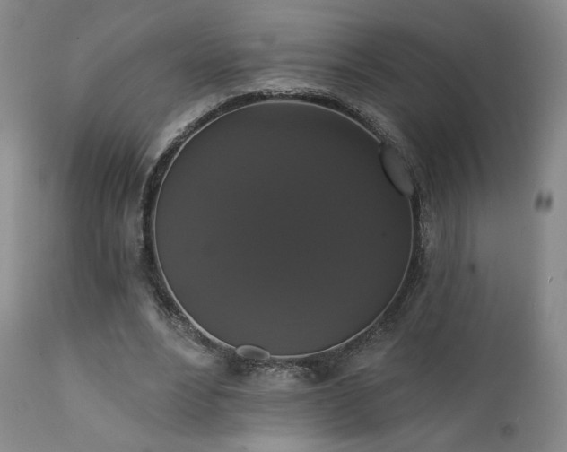 X0000111440488200907131309