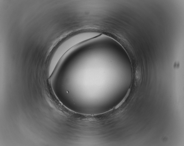 X0000111440492200907131309