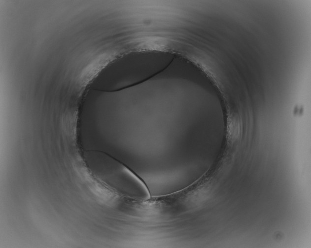 X0000111440493200907131309