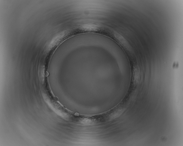 X0000111440494200907131309