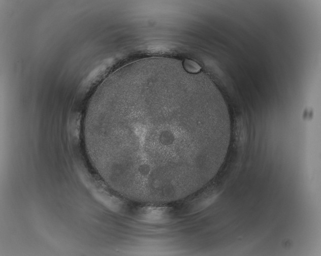 X0000111440495200907131309