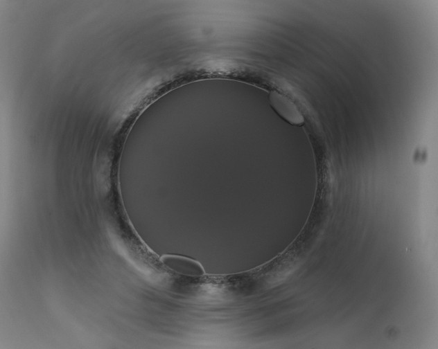 X0000111440496200907131309