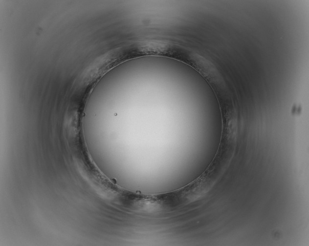 X0000111440498200907131309