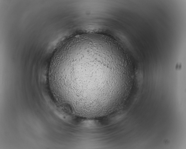X0000111440499200907131309