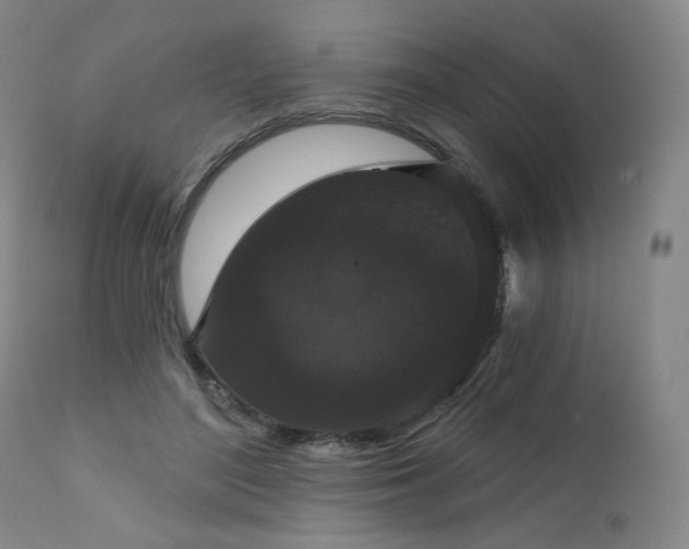 X0000111440500200907131309