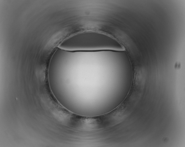 X0000111440501200907131309