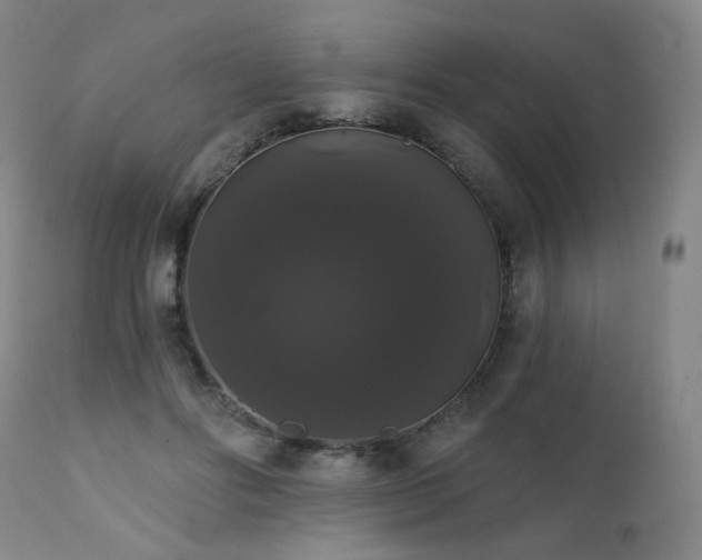 X0000111440502200907131309