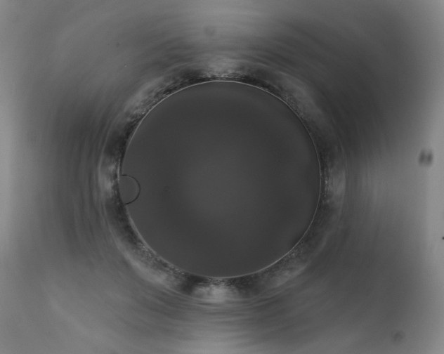 X0000111440503200907131309