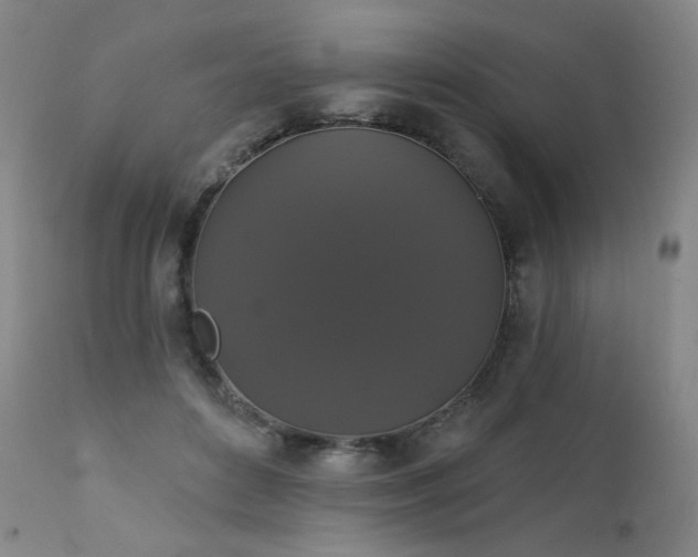 X0000111440504200907131309