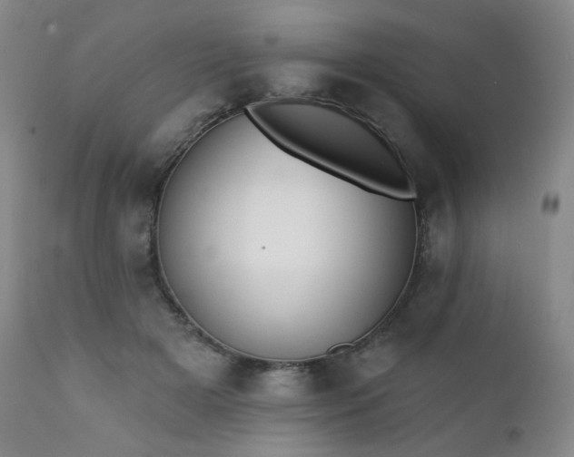 X0000111440505200907131309