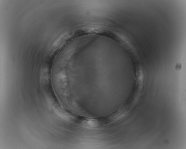 X0000111440506200907131309