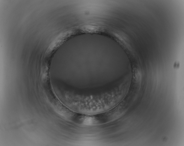 X0000111440507200907131309