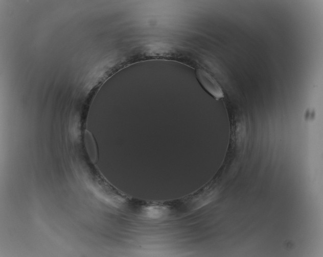 X0000111440508200907131309