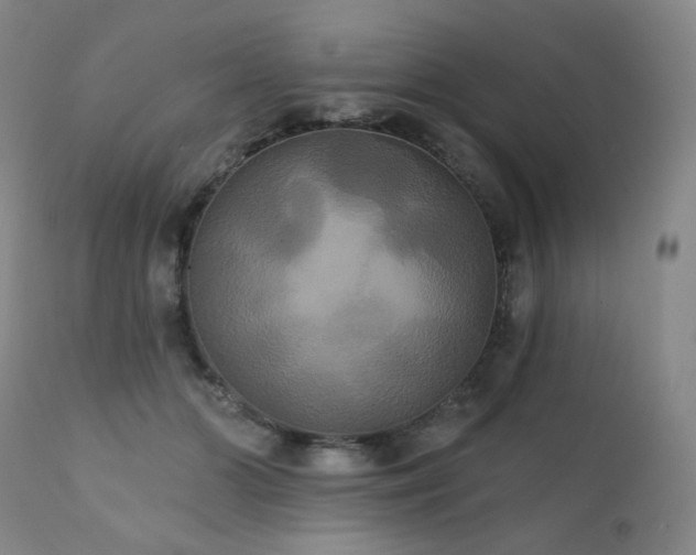 X0000111440510200907131309